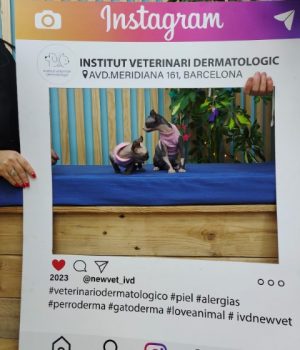 inauguración centro veterinario dermatologico en barcelona (12)