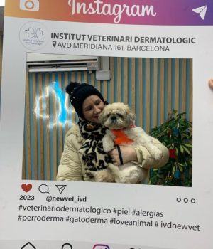 inauguración centro veterinario dermatologico en barcelona (16)